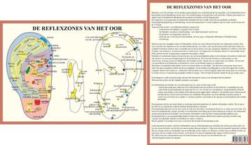 Anatomie poster oorreflexzones (Nederlands, gelamineerd,..., Nieuw