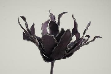 Cactus Ziggo Dark Purple Foam, Ophalen of Verzenden, Nieuw