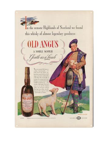 Old angus, Ophalen of Verzenden, Nieuw
