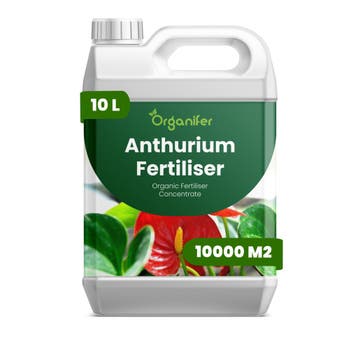 Anthurium Vloeibare Meststof - 10 Liter, Verzenden, Mest