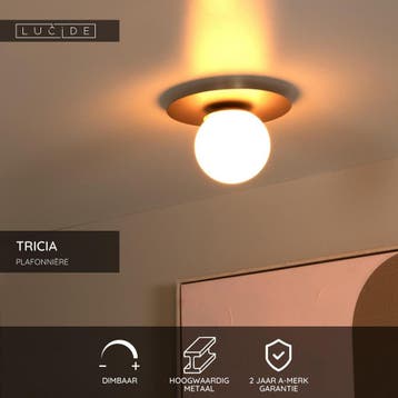 Lucide TRICIA - Plafonnière (Plafondlamp) - Ø 25 cm - 1xE27, Huis en Inrichting, Ophalen of Verzenden, Zo goed als nieuw