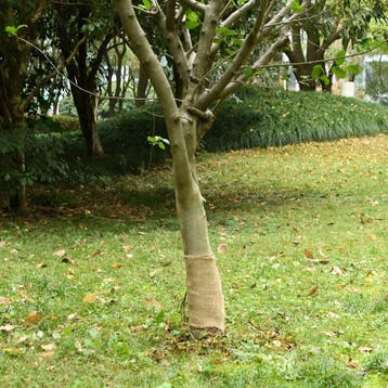 vidaXL Jute rol 200 g/m² 0,25x100 m 100% jute, Verzenden, Nieuw