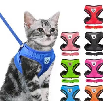 Reflecterend Kattenharnas – Comfortabel Tuigje met Riem 1,2, Verzenden, Nieuw
