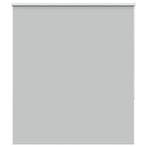 Rolgordijn Lichtgrijs 120cm | 39% Korting, Huis en Inrichting, Stoffering | Gordijnen en Lamellen, 100 tot 150 cm, 100 tot 150 cm