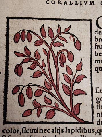 Sebastian Münster (1489–1552) - Cosmographia Universalis -