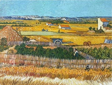 Tran Thi T.Hien (1973) - La Moisson en Provence 60 80 cm