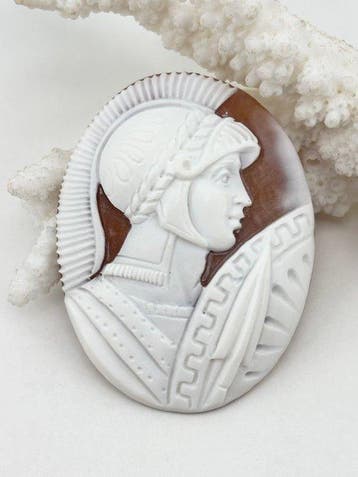 CASSIS MADAGASCARIENSIS - Cameo - Handgesneden camee