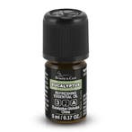 Beauty & Care Eucalyptus etherische olie 5 ml.  new, Ophalen of Verzenden, Nieuw, Aroma