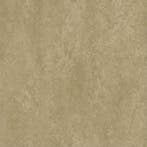 Forbo Marmoleum Modular Oat (Forbo Marmoleum Modular tegels), Doe-het-zelf en Verbouw, Vloerdelen en Plavuizen, Kunststof, Verzenden