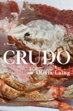 Crudo - Olivia Laing 9781509892839, Boeken, Verzenden, Zo goed als nieuw, Olivia Laing