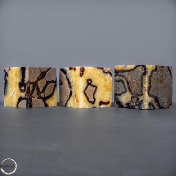 Exclusieve Septarien-dobbelset – Fascinerende natuurkunst