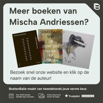Probeer de hemel mijn huis te maken - Mischa Andriessen, Verzenden, Zo goed als nieuw, Mischa Andriessen