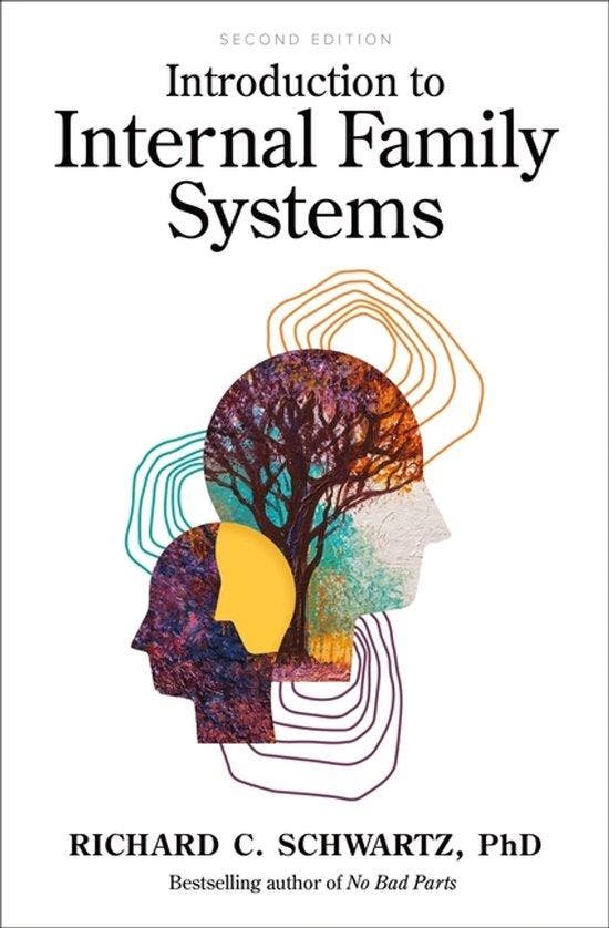 9781683643616 Introduction to Internal Family Systems, Boeken, Studieboeken en Cursussen, Nieuw, Verzenden