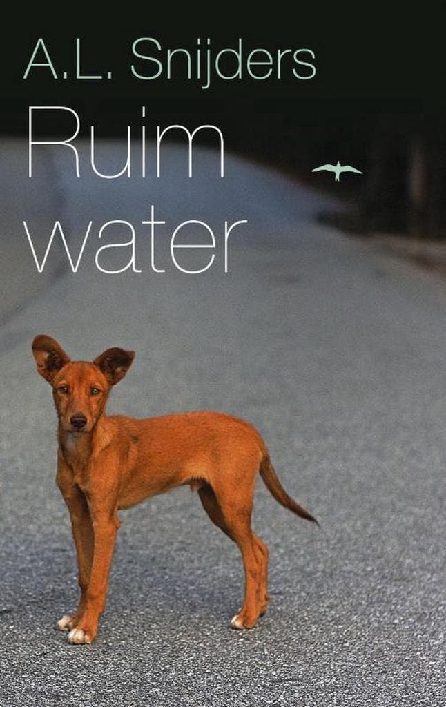 Ruim water - A.L. Snijders 9789400402713, Boeken, Romans, Gelezen, Verzenden