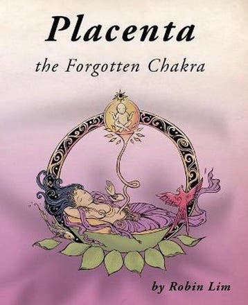 9780976290773 Placenta The Forgotten Chakra | Tweedehands, Verzenden, Zo goed als nieuw, Robin Lim