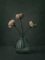 Tessa Posthuma de Boer - Roses #2