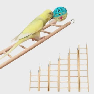 Natuurlijke Houten Klimladder Speelgoed voor Vogels en Hamst