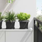 vidaXL Vierkante Bloemenschotel 6 pcs Zwart 18 x 18 x 2 cm, Tuin en Terras, Kunststof, Minder dan 30 cm, Verzenden, Minder dan 60 cm
