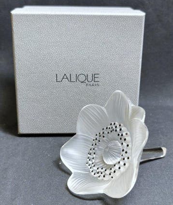 Lalique - Presse-papier - Anémone avec boîte - Kristal, Nieuw