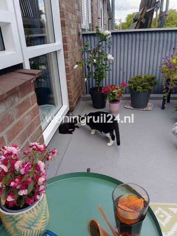 Woningruil - Luit 36 - 3 kamers en Rotterdam, Rotterdam