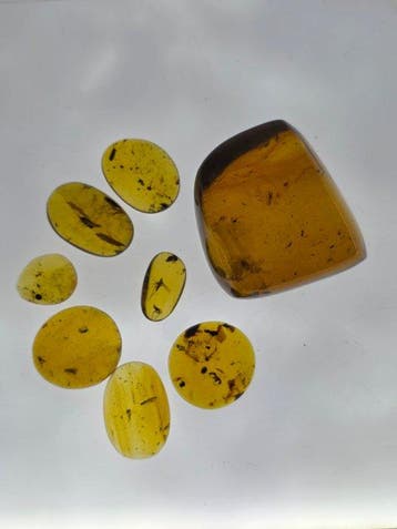 Birmese barnsteen - Barnsteen - Natural Fossil Amber Lot (8)