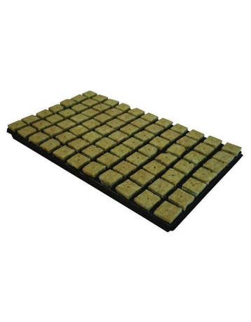 Grodan Steenwoltray 4x4 cm 77 st. p/tray 18 trays p/doos, Ophalen of Verzenden