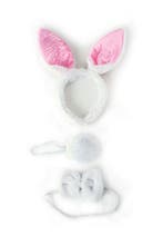 Haarband Set Konijn Oren Staart Diadeem Wit Oortjes Haas Paa, Kleding | Dames, Ophalen of Verzenden, Nieuw, Carnaval, Accessoires