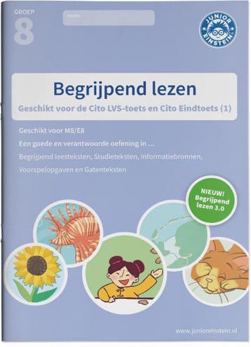 Begrijpend lezen Oefenboek / Deel 1 groep 8 M8/E8 Geschikt, Boeken, Schoolboeken, Verzenden, Zo goed als nieuw