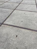 Gebruikte betonplaat 200x125x14 met hoeklijn B-keus..., Ophalen of Verzenden, Nieuw