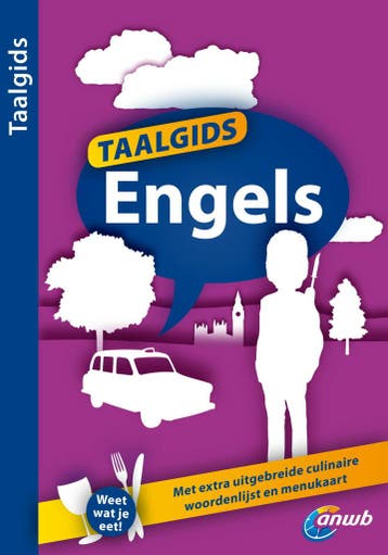 Engels / ANWB Taalgids 9789018037260, Verzenden, Gelezen