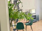 Te huur: Appartement Mallemolen in Den Haag, Den Haag, Appartement, Zuid-Holland