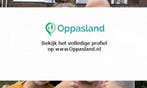 Marco zoekt een oppas in Voorburg voor 2 kinderen op vrij...