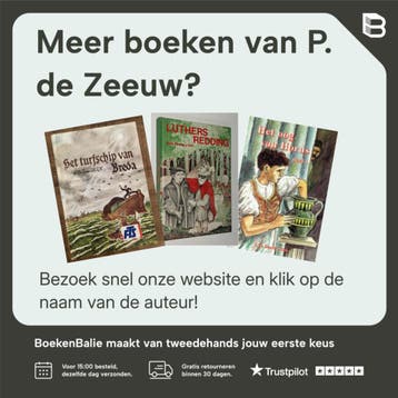 Des schout van Solothurn - P. de Zeeuw 9789033617218, Boeken, Kinderboeken | Jeugd | 10 tot 12 jaar, Verzenden, Zo goed als nieuw