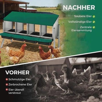 Legnest Kippen 4 Vakken Metaal Groen met Automatische Eieraf, Verzenden, Nieuw