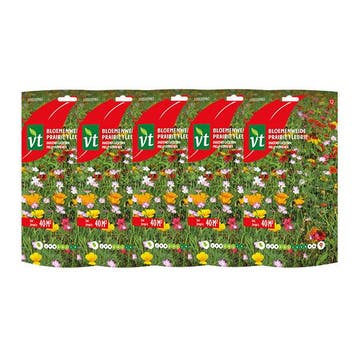 Bloemzaden duizend lichtjes | VT | 5 stuks, Verzenden