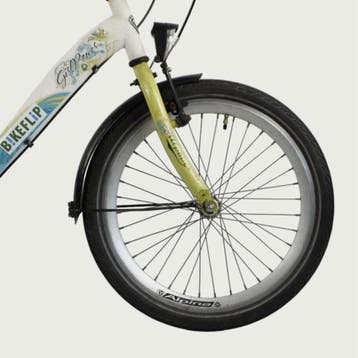 Alpina kinderfiets 20 inch, Fietsen en Brommers, Ophalen of Verzenden, Gebruikt, Alpina