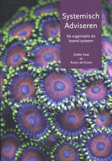 Systemisch adviseren - Anton de Kroon 9789077290224, Verzenden, Gelezen, Anton de Kroon