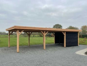 Veiling - Douglas buitenverblijf met berging  1500x500x257 c, Nieuw