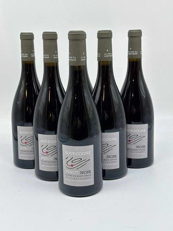 2019 Au pied du Mont Chauve Bourgogne Pinot Noir - Bourgogne, Nieuw