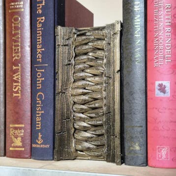 Mimic Book Nook with Closed Mouth - 3D Printed Fantasy Decor, Verzenden, Nieuw