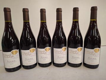 2023 Domaines de la Tassée dor - Fleurie, Beaujolais - 6, Verzamelen, Wijnen, Nieuw