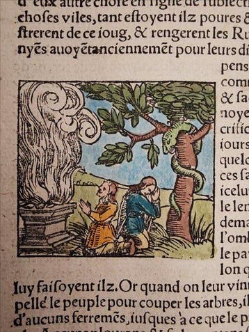 Sebastian Münster (1489–1552) - Cosmographie Universelle -