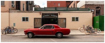 Roberto Cavalli (1971) - Somewhere, in New York City #1136 -