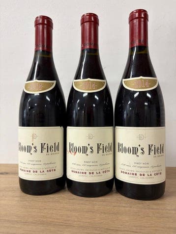 2014 Domaine de la Côte, Blooms Field - Santa Rita Hills -, Nieuw
