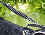 WAW anti-trek ondersteuning voor de hondenriem, Dieren en Toebehoren, Verzenden, Nieuw, Hondenriem-accessoire