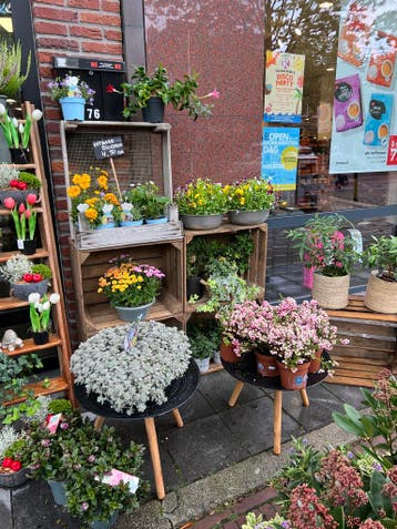 Mooie oude/vintage kisten-21 stuks 169€ inclusief levering!, Minder dan 50 cm, Minder dan 50 cm, Ophalen of Verzenden, Zo goed als nieuw