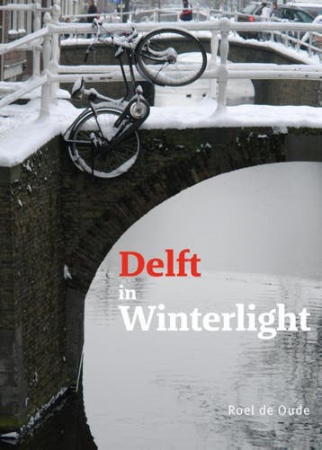 Delft In Winterlight | Roel Oude | Nieuw, Ophalen of Verzenden, Nieuw, Roel Oude
