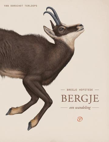 Bergje | Bregje Hofstede | Nieuw, Ophalen of Verzenden, Nieuw, Bregje Hofstede