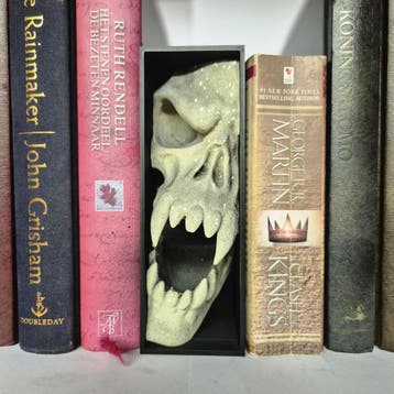 Unique Game Book Nook with Skull - Perfect for Gamers and Bo, Verzenden, Nieuw