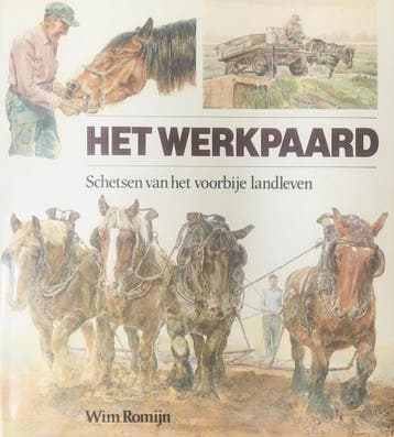 WERKPAARD - ROMIJN 9789026946431, Verzenden, Gelezen, ROMIJN